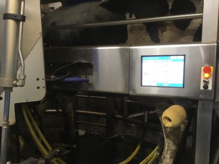 5x DeLaval milking robot, milking system, built in 2014 for sale