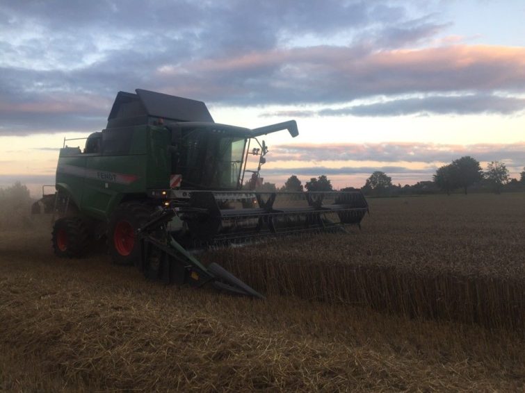 Fendt 5255L MCS harvester for sale