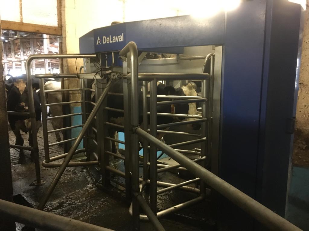 5x DeLaval milking robot, milking system, built in 2014 for sale