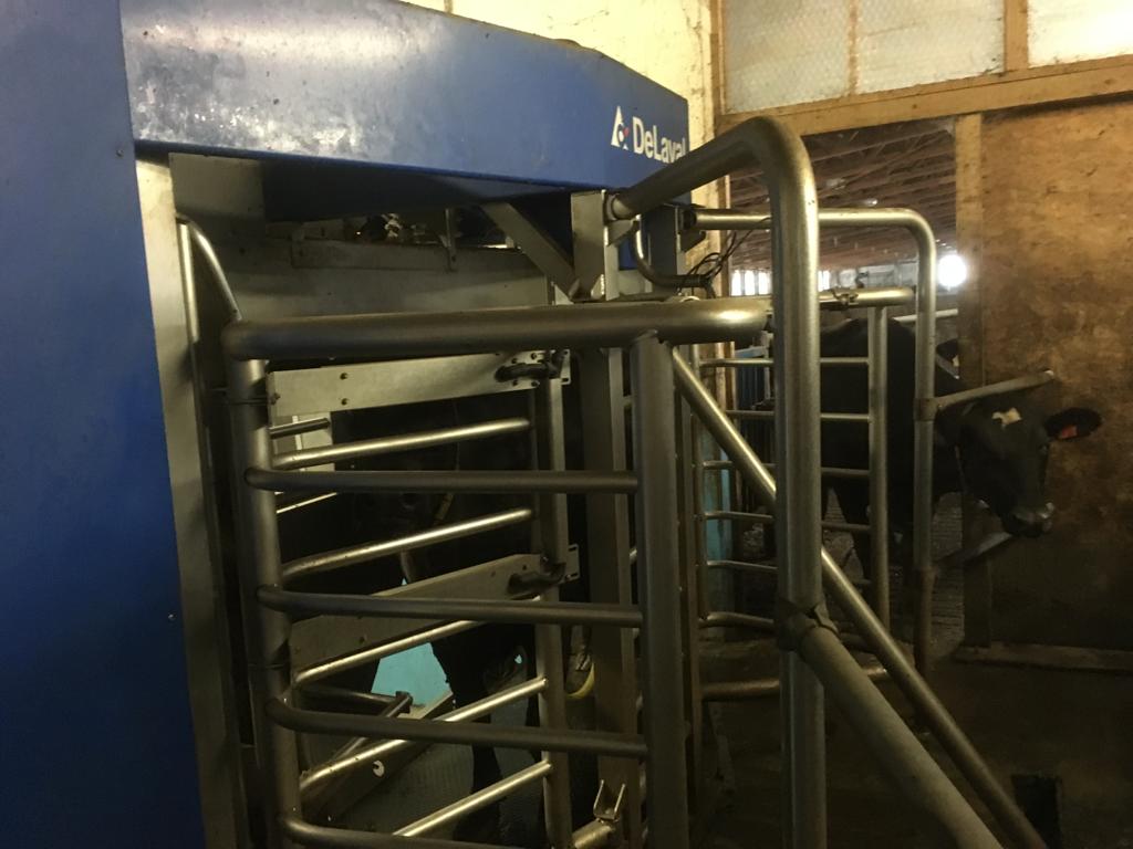 5x DeLaval milking robot, milking system, built in 2014 for sale